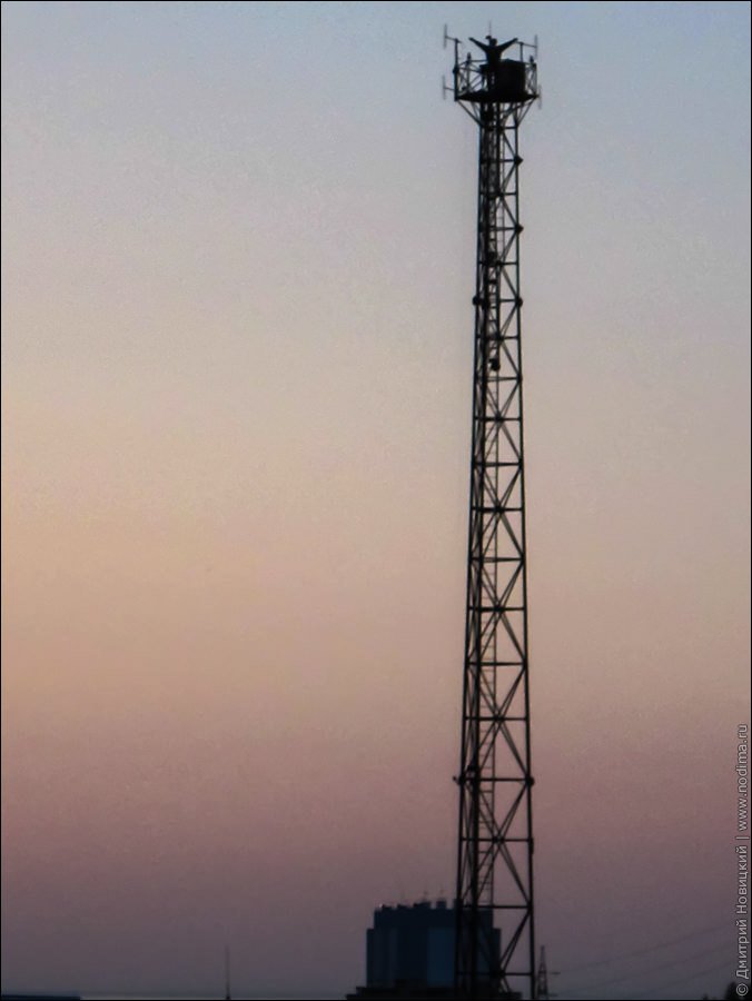 Вышка 4g. Вышка 4 2. Вышка 4 2. Вышка 4 2. Вышка 4 2.