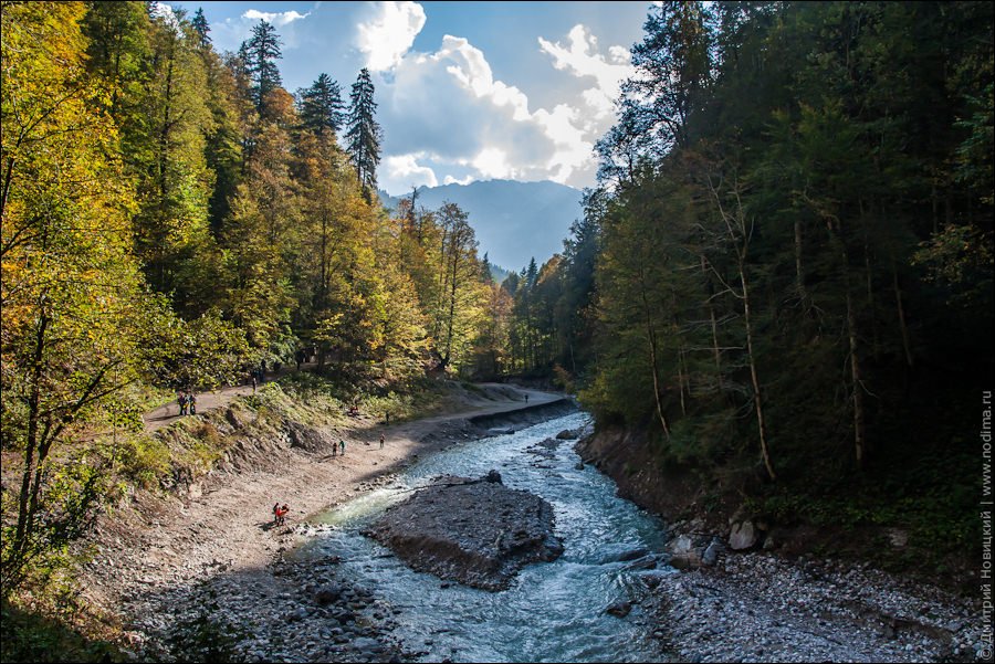 Река, лес и горы